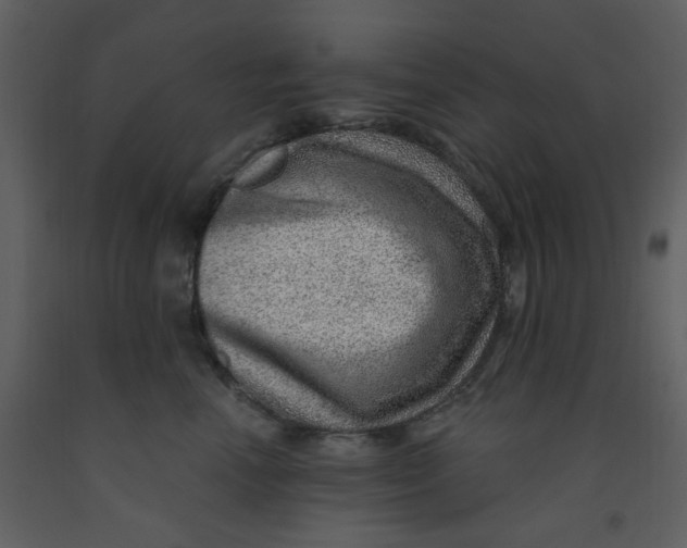 X0000093260666200710171450