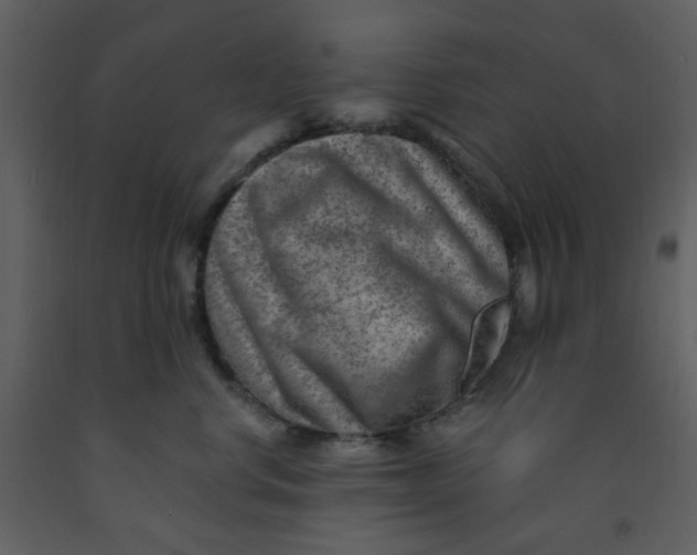 X0000093260668200710171450