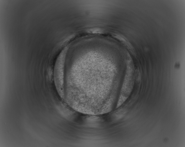 X0000093260669200710171450