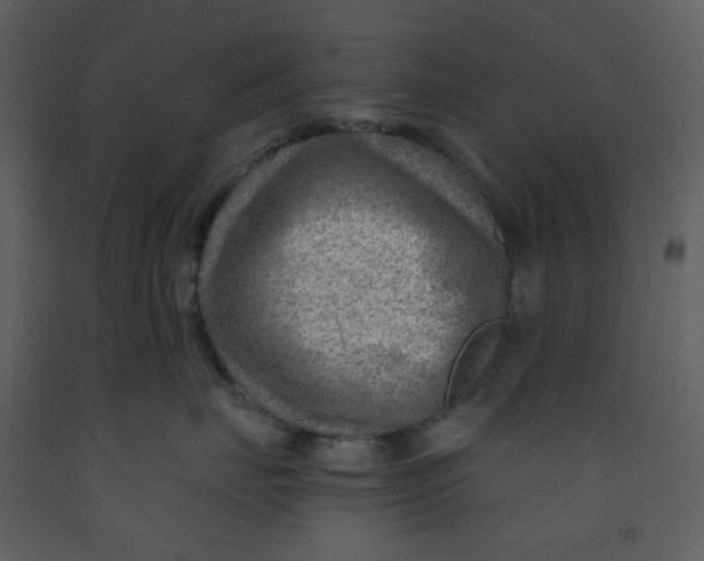 X0000093260671200710171450