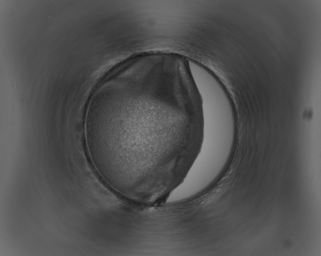 X0000093260673200710171450