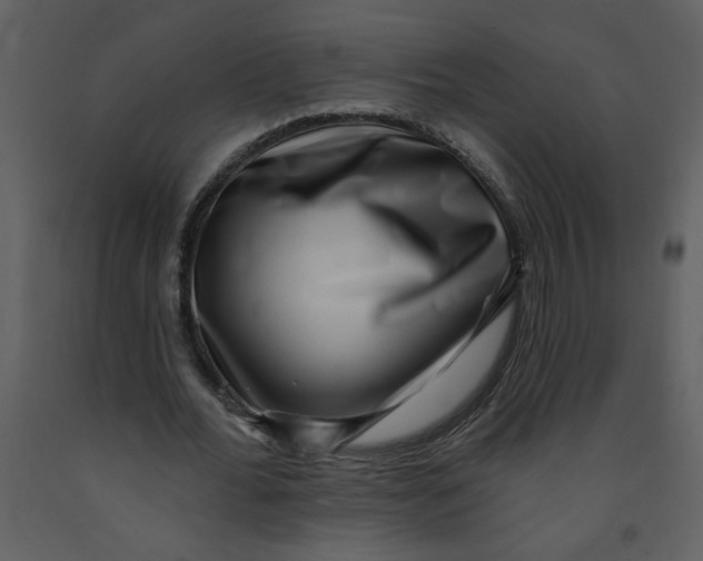 X0000093260676200710171450