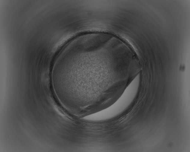 X0000093260677200710171450