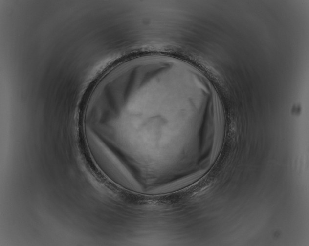 X0000093260678200710171450