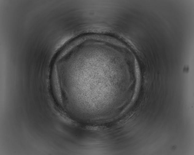 X0000093260679200710171450