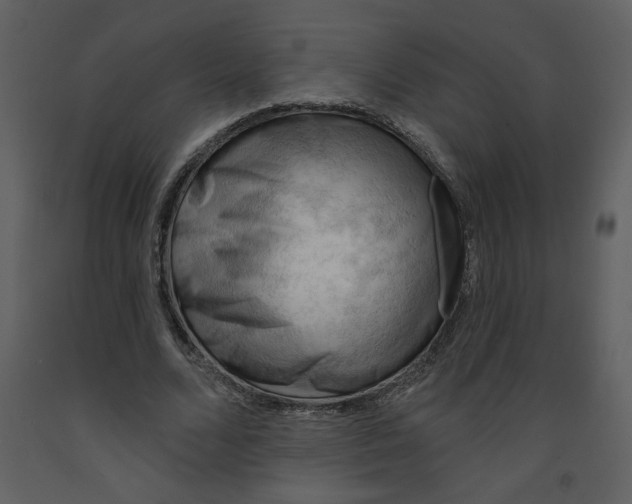 X0000093260680200710171450