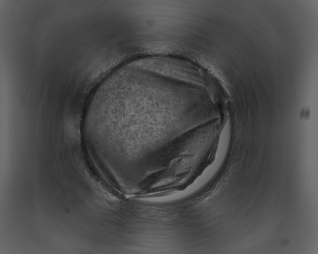 X0000093260681200710171450