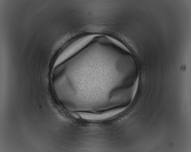 X0000093260682200710171450