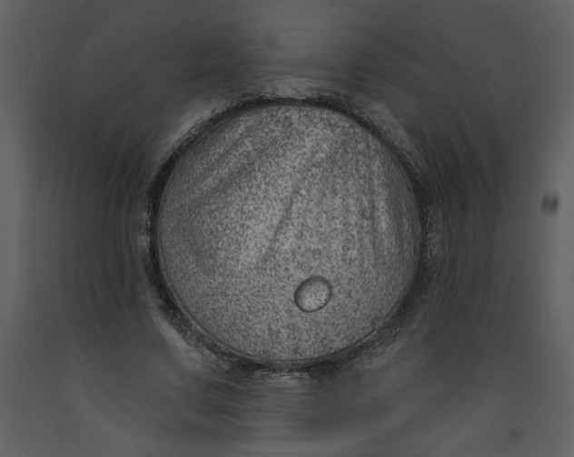 X0000093260683200710171450