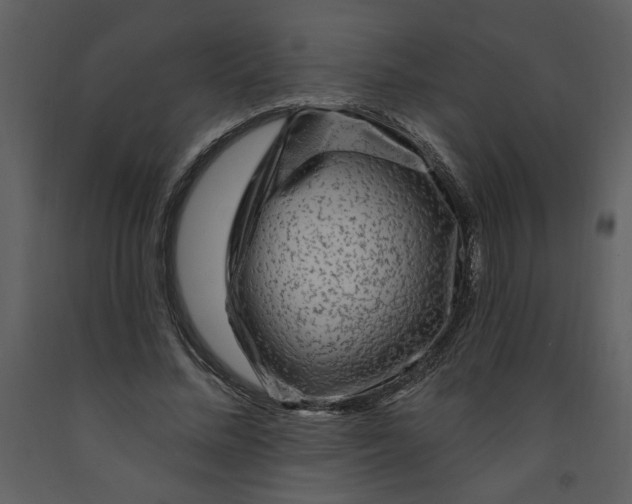 X0000093260684200710171450