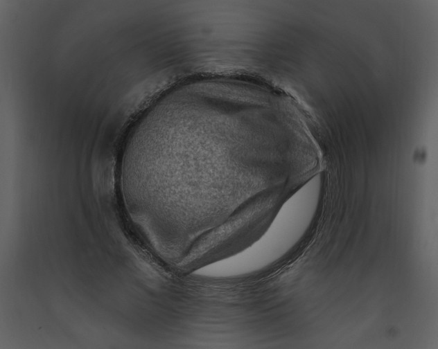 X0000093260685200710171450