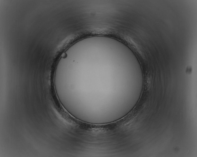 X0000093260686200710171450