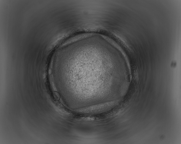 X0000093260687200710171450