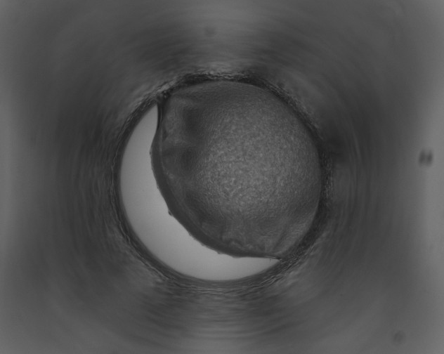 X0000093260689200710171450