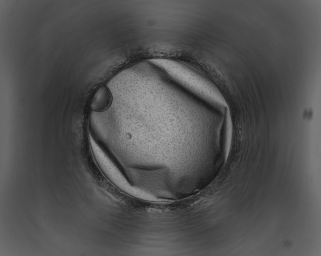 X0000093260690200710171449