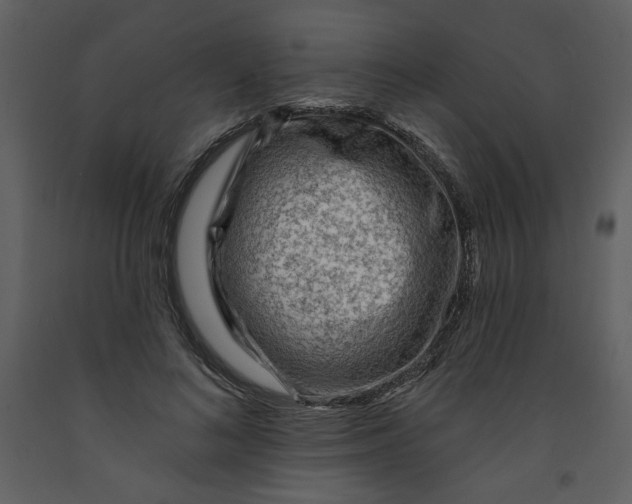 X0000093260692200710171449