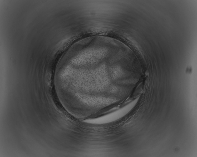 X0000093260693200710171449