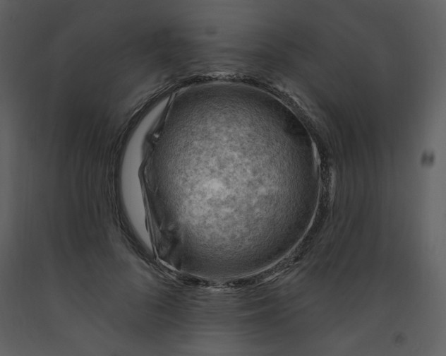 X0000093260696200710171449