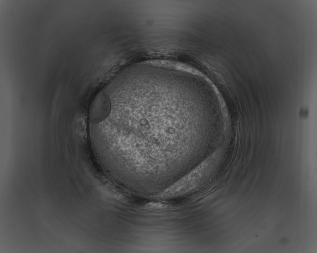 X0000093260699200710171449