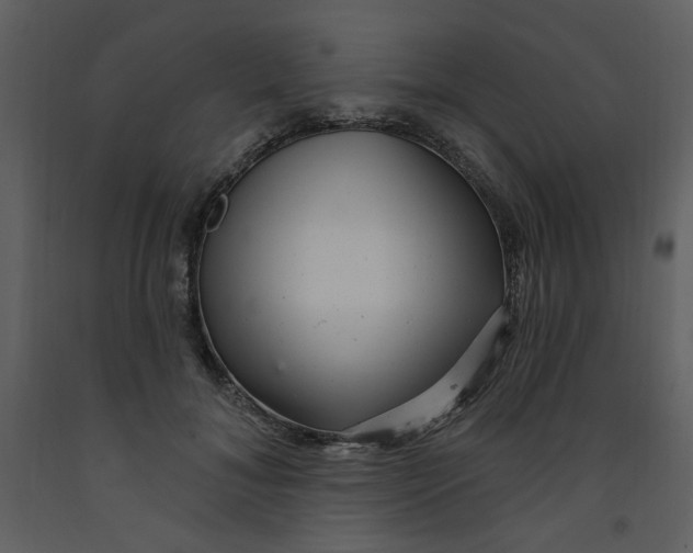 X0000093260700200710171449