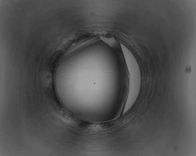 X0000093260704200710171449