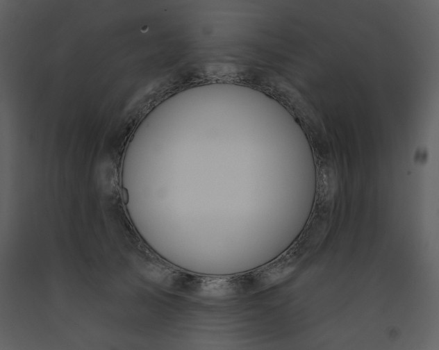 X0000093260705200710171449