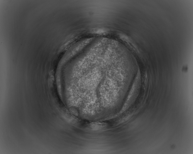 X0000093260707200710171449