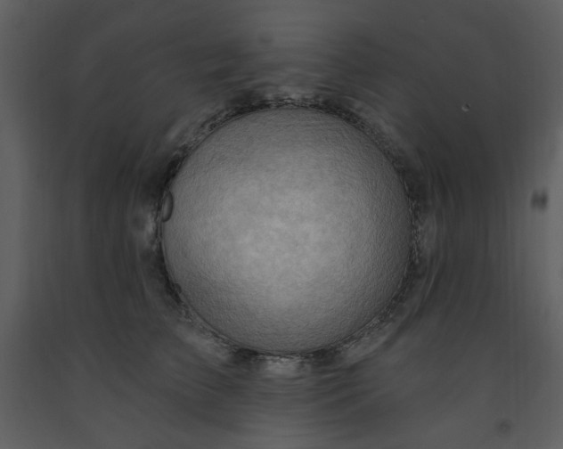 X0000093260709200710171449