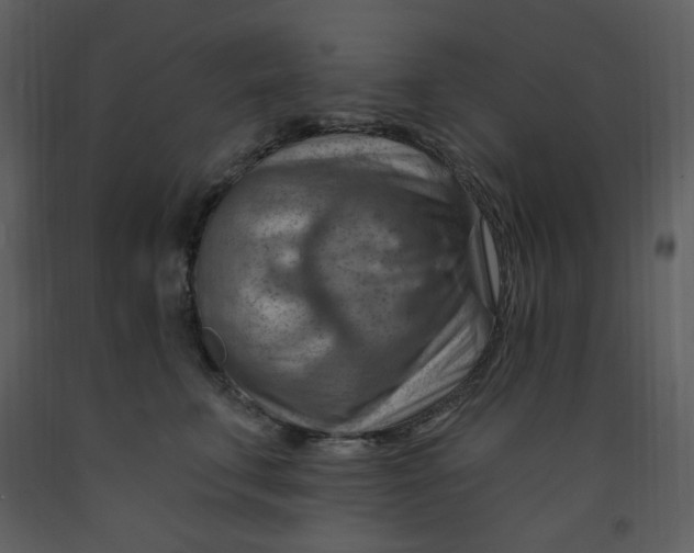 X0000093260711200710171449