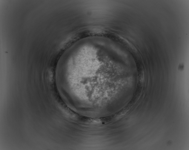 X0000093260715200710171449