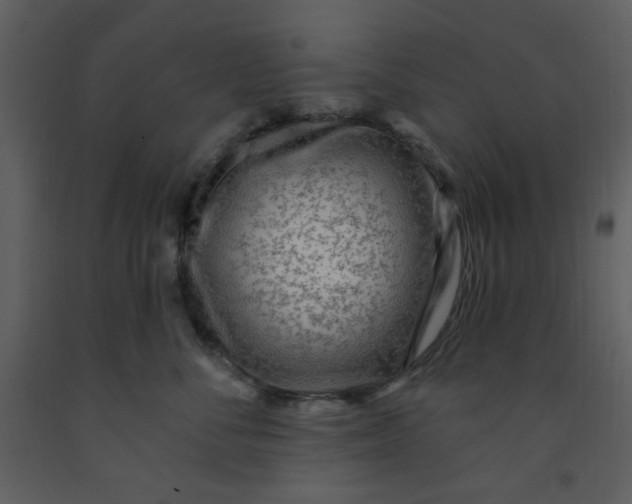 X0000093260716200710171449