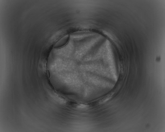 X0000093260718200710171449