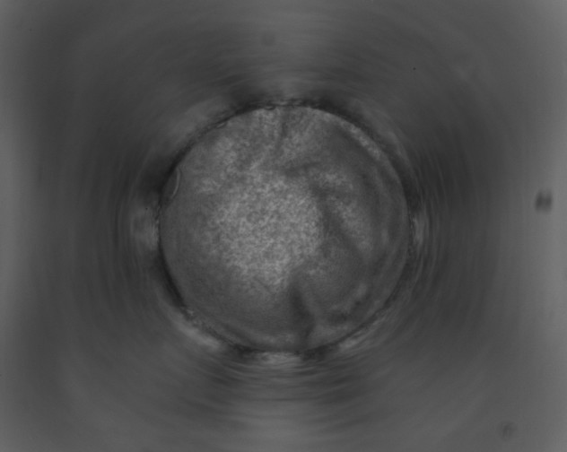 X0000093260719200710171449