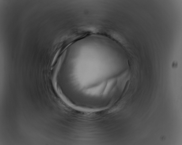 X0000093260720200710171449