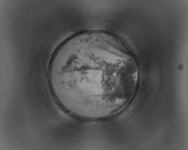 X0000093260721200710171448