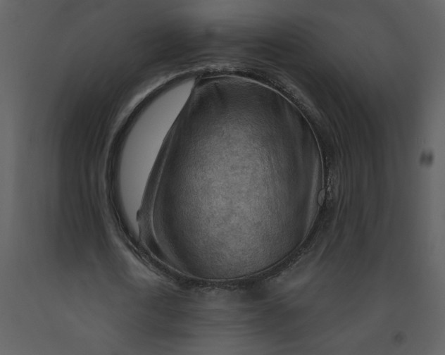 X0000093260722200710171448