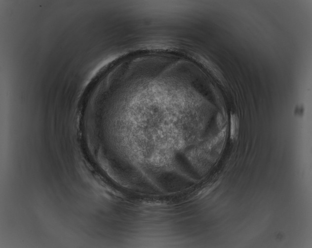 X0000093260723200710171448