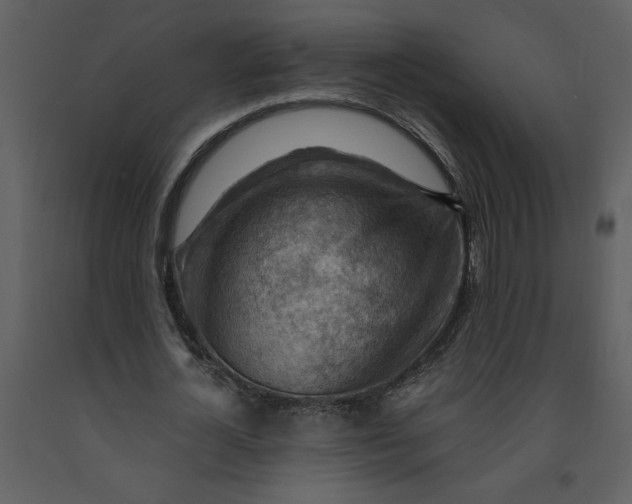 X0000093260724200710171448