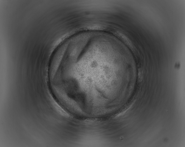 X0000093260725200710171448