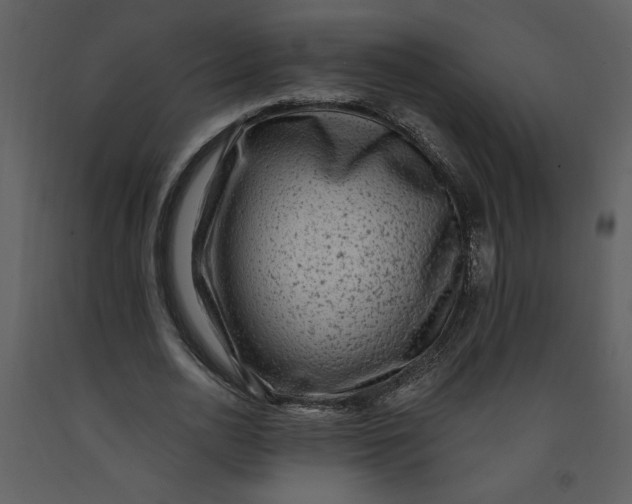 X0000093260726200710171448