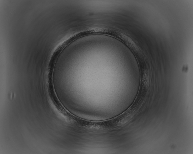 X0000093260730200710171448