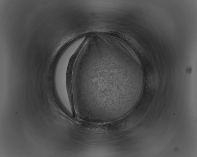 X0000093260731200710171448