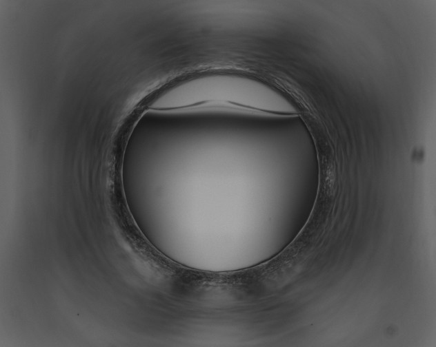 X0000093260732200710171448