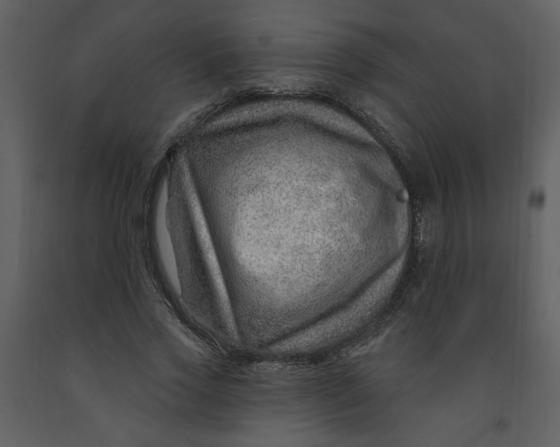 X0000093260733200710171449