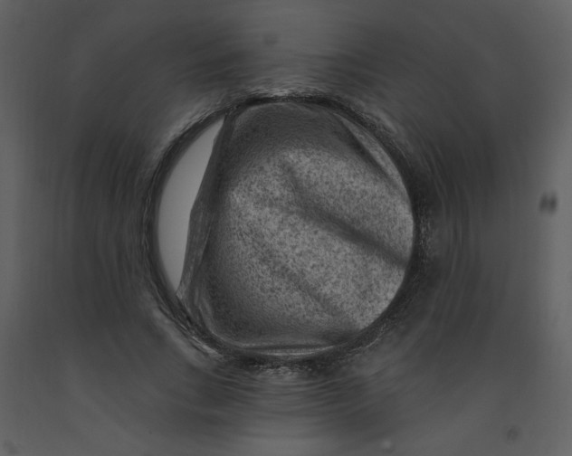 X0000093260735200710171449