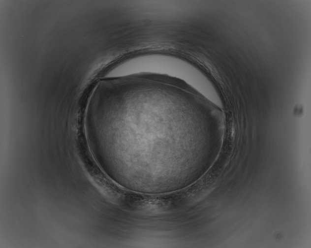 X0000093260736200710171449