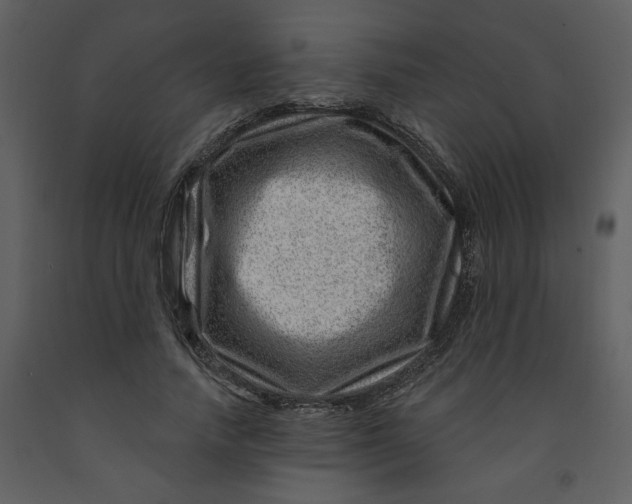 X0000093260738200710171449