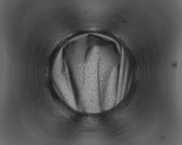 X0000093260739200710171449