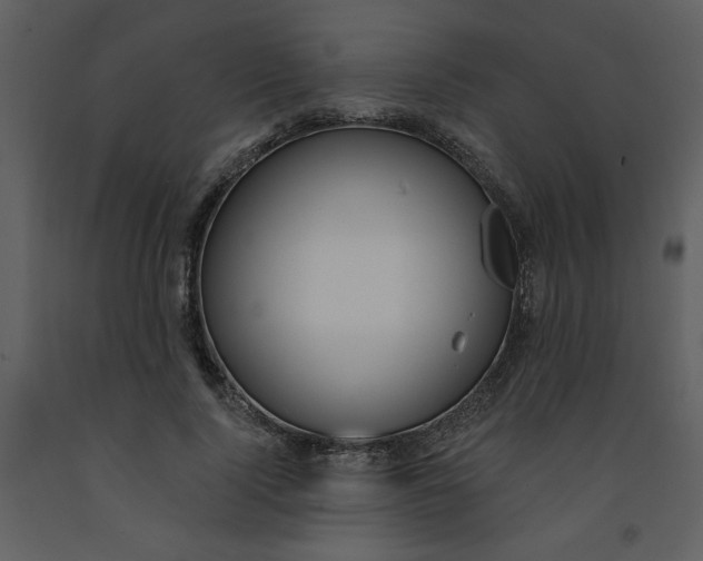 X0000093260740200710171449