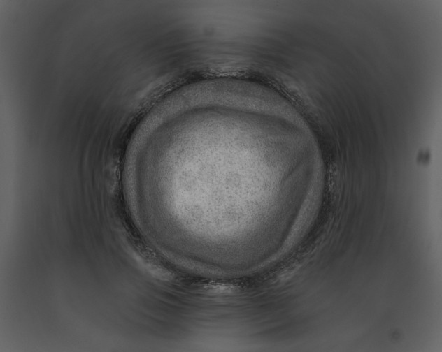 X0000093260741200710171449